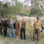 heidi gardarsson Gallery