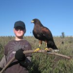 heidi gardarsson Gallery