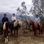 heidi gardarsson Gallery