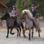 heidi gardarsson Gallery