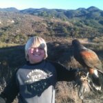 heidi gardarsson Gallery