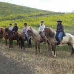 heidi gardarsson Gallery