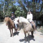 heidi gardarsson Gallery