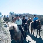 heidi gardarsson Gallery