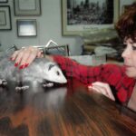 eileen pages Gallery